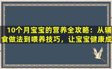 10个月宝宝的营养全攻略：从辅食做法到喂养技巧，让宝宝健康成长！