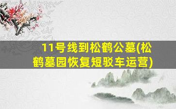 11号线到松鹤公墓(松鹤墓园恢复短驳车运营)