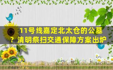 11号线嘉定北太仓的公墓？清明祭扫交通保障方案出炉