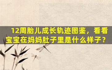 12周胎儿成长轨迹图鉴，看看宝宝在妈妈肚子里是什么样子？