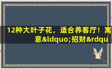 12种大叶子花，适合养客厅！寓意“招财”，还养人