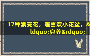 17种漂亮花，超喜欢小花盆，“穷养”少管，更健壮！