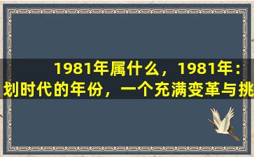 1981年属什么，1981年：划时代的年份，一个充满变革与挑战的年份，一个充满希望与梦想的年份。