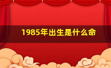 1985年出生是什么命