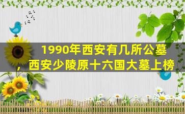 1990年西安有几所公墓，西安少陵原十六国大墓上榜