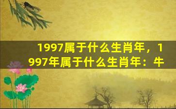 1997属于什么生肖年，1997年属于什么生肖年：牛