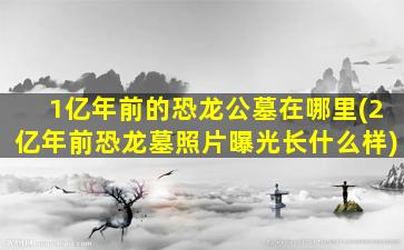 1亿年前的恐龙公墓在哪里(2亿年前恐龙墓照片曝光长什么样)