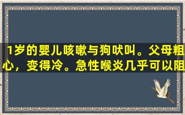 1岁的婴儿咳嗽与狗吠叫。父母粗心，变得冷。急性喉炎几乎可以阻止呼吸