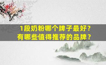 1段奶粉哪个牌子最好？有哪些值得推荐的品牌？