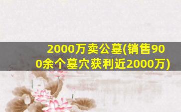 2000万卖公墓(销售900余个墓穴获利近2000万)