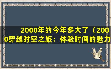 2000年的今年多大了（2000穿越时空之旅：体验时间的魅力）