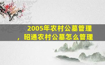 2005年农村公墓管理，昭通农村公墓怎么管理