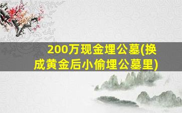 200万现金埋公墓(换成黄金后小偷埋公墓里)