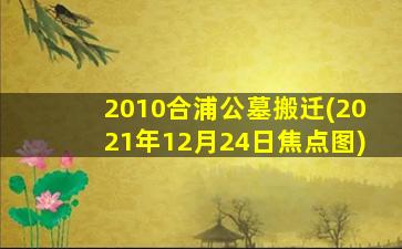 2010合浦公墓搬迁(2021年12月24日焦点图)