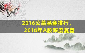 2016公墓基金排行，2016年A股深度复盘