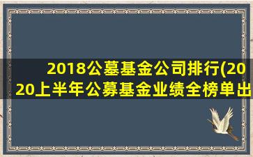 2018公墓基金公司排行(2020上半年公募基金业绩全榜单出炉)