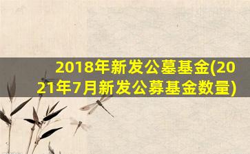2018年新发公墓基金(2021年7月新发公募基金数量)