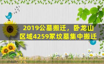 2019公墓搬迁，卧龙山区域4259冢坟墓集中搬迁