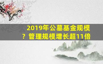 2019年公墓基金规模？管理规模增长超11倍