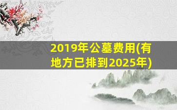 2019年公墓费用(有地方已排到2025年)
