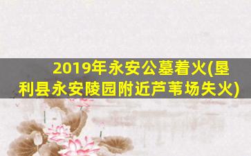 2019年永安公墓着火(垦利县永安陵园附近芦苇场失火)