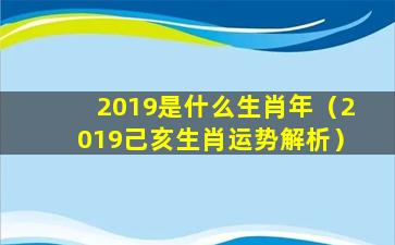 2019是什么生肖年（2019己亥生肖运势解析）