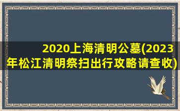 2020上海清明公墓(2023年松江清明祭扫出行攻略请查收)