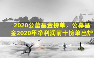 2020公墓基金榜单，公募基金2020年净利润前十榜单出炉
