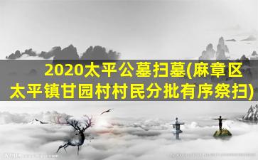 2020太平公墓扫墓(麻章区太平镇甘园村村民分批有序祭扫)