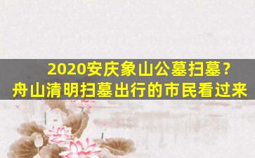 2020安庆象山公墓扫墓？舟山清明扫墓出行的市民看过来