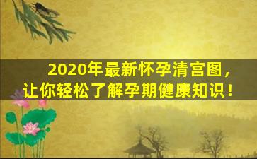 2020年最新怀孕清宫图，让你轻松了解孕期健康知识！