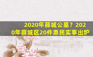 2020年薛城公墓？2020年薛城区20件惠民实事出炉