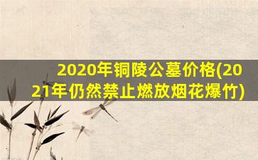 2020年铜陵公墓价格(2021年仍然禁止燃放烟花爆竹)