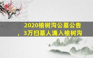 2020榆树沟公墓公告，3万扫墓人涌入榆树沟