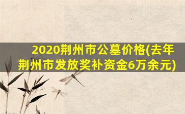 2020荆州市公墓价格(去年荆州市发放奖补资金6万余元)