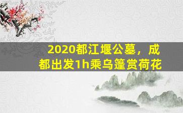 2020都江堰公墓，成都出发1h乘乌篷赏荷花