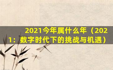 2021今年属什么年（2021：数字时代下的挑战与机遇）