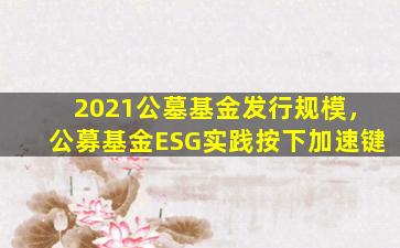 2021公墓基金发行规模，公募基金ESG实践按下加速键