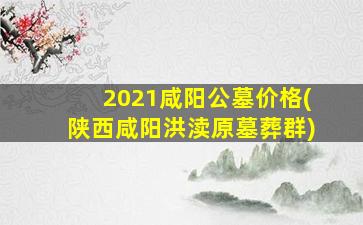 2021咸阳公墓价格(陕西咸阳洪渎原墓葬群)