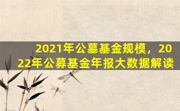 2021年公墓基金规模，2022年公募基金年报大数据解读