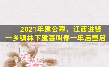 2021年建公墓，江西进贤一乡镇林下建墓叫停一年后重启