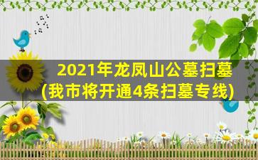 2021年龙凤山公墓扫墓(我市将开通4条扫墓专线)