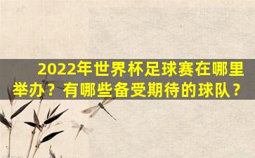 2022年世界杯足球赛在哪里举办？有哪些备受期待的球队？