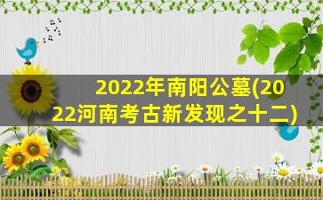 2022年南阳公墓(2022河南考古新发现之十二)