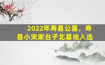 2022年寿县公墓，寿县小宋家台子北墓地入选
