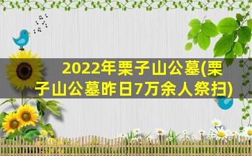 2022年栗子山公墓(栗子山公墓昨日7万余人祭扫)