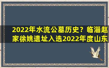2022年水流公墓历史？临淄赵家徐姚遗址入选2022年度山东省五大考古新发现