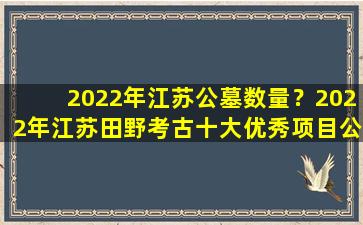 2022年江苏公墓数量？2022年江苏田野考古十大优秀项目公布