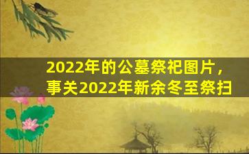 2022年的公墓祭祀图片，事关2022年新余冬至祭扫