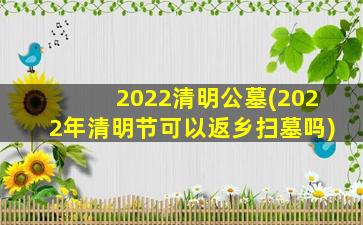 2022清明公墓(2022年清明节可以返乡扫墓吗)